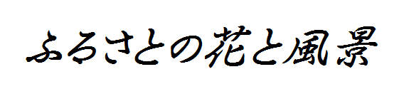 ふるさとの花と風景